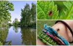 Tiques dans la région de Moscou et à Moscou en 2018