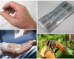 Que faire si un morceau d'abeille