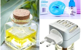 Comment fabriquer un fumigateur et un liquide anti-moustiques à la maison