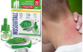 Moustique pour les moustiques