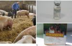Comment se débarrasser des mouches dans la grange