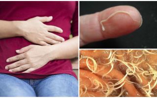 Les effets des oxyures pour l'homme