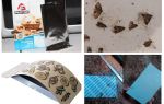 Pièges à mites alimentaires