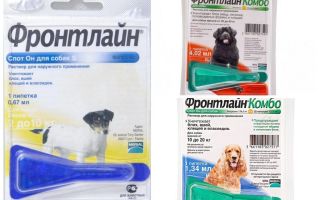 Gouttes frontline de puces pour chiens