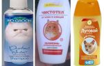 Combien de fois puis-je me laver avec un shampooing aux puces