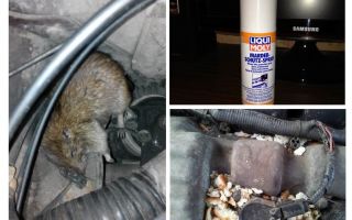 Spray rats pour la voiture