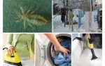 Traitement des maisons et des objets contre les poux et les lentes