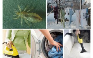 Traitement des maisons et des objets contre les poux et les lentes
