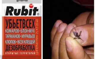 Rubit Remède Moustique