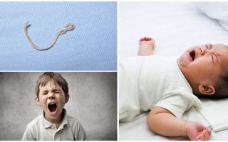Symptômes et traitement de l'ascaridiase chez les enfants