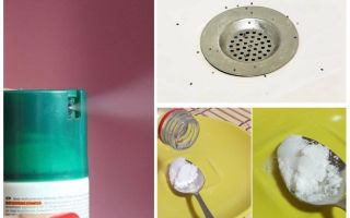 Comment se débarrasser des moucherons dans l'appartement