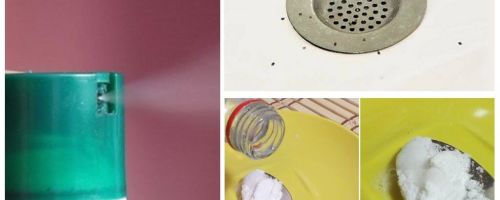 Comment se débarrasser des moucherons dans l'appartement