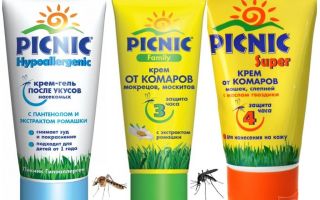 Pique-nique moustique