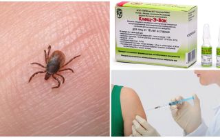 Mode d'emploi du vaccin Tick-E-Vac