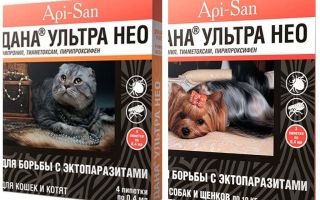 Dana Ultra Neo gouttes de puces pour chiens et chats