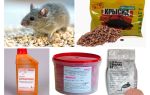 Le meilleur moyen de souris