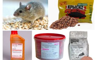 Le meilleur moyen de souris