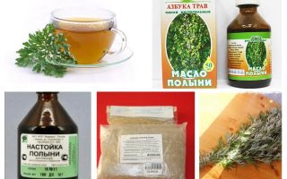 Absinthe de puces dans l'appartement et la maison