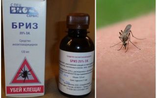 Remède contre les moustiques