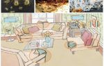 Quoi et comment empoisonner les insectes à la maison