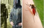 Vêtements de moustiques, tiques et moucherons - un aperçu
