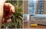 Comment prendre la doxycycline avec une morsure de tique