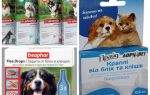 Remèdes contre les puces et les tiques pour les chiens