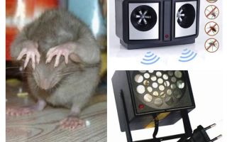 Répulseurs à ultrasons pour rongeurs