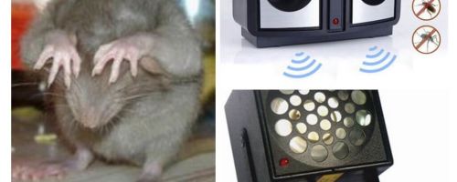 Répulseurs à ultrasons pour rongeurs