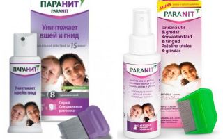 Fonds provenant de poux et de lentes en Ukraine