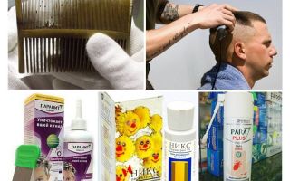 Comment et quoi attraper les poux chez les enfants