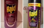 Remède contre les raids au lit