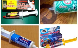 Les meilleurs gels contre les cafards