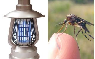 Electrolamp contre les moustiques Terminator