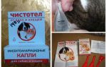 Gouttes de chélidoine de puces pour chiens et chats