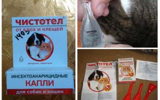 Gouttes de chélidoine de puces pour chiens et chats