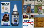Léopard contre les tiques pour chiens et chats