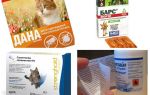 Les meilleurs remèdes contre les puces pour les chats