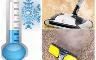 Comment se débarrasser des insecticides pour puces à tapis et des moyens improvisés