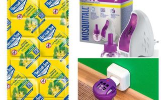 Fumigateurs de punaises