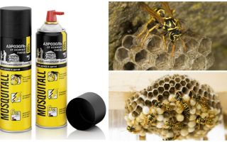 Aérosol pour moustiques provenant de guêpes et de nids de guêpes