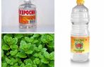 De quoi les puces ont peur: eau, eau de javel, vinaigre, kérosène, etc.