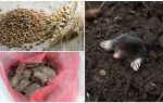 Comment et quoi empoisonner les taupes
