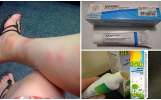 Pourquoi chez les adultes et les enfants après les piqûres de moustiques apparaissent des bosses que de traiter