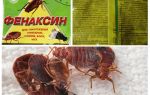 Phenaxin en poudre provenant de punaises
