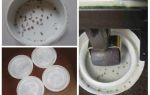 Comment déterminer s'il y a des insectes à la maison