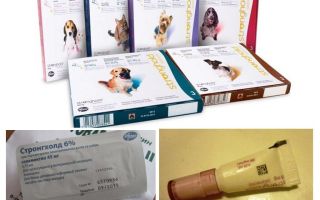 Flea Stronghold Drops pour chiens et chats