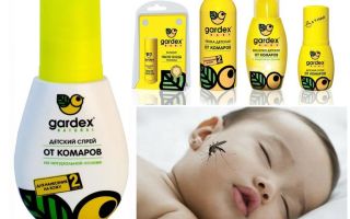 Gardex anti-moustique pour les enfants