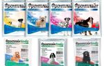 Manipulation des chiens contre les puces et les tiques