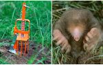 Mole catchers avec leurs propres mains